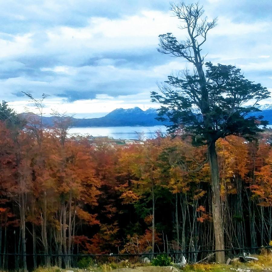 Apartmán Calida Casa En El Fin Del Mundo Ushuaia Exteriér fotografie